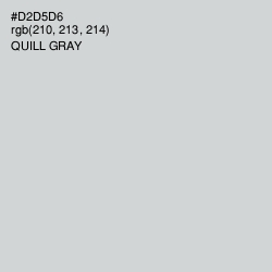 #D2D5D6 - Quill Gray Color Image